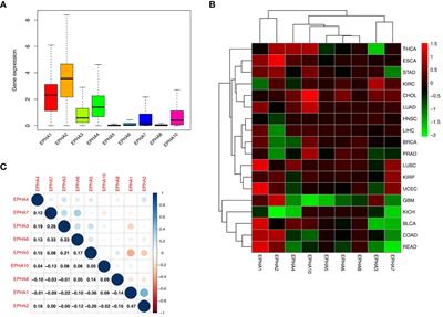 A pan-cancer analysis of EphA family gene expression and its association with prognosis, tumor microenvironment, and therapeutic targets